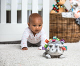 TAGGIES™ Heather Hegehog Soft Toy by Mary Meyer